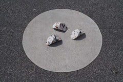 set of three cylinder of terrazzo cut in a triangle shape containing natural earthy colors chips of stone laying on grey ciment round shape